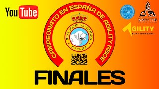 FINALES DEL CAMPEONATO EN ESPAÑA DE AGILITY RSCE 2022  LUNES 15 [upl. by Doria]