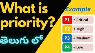 What is Priority In Software Testing Priority Levels  Manual Testing Tutorial For Beginners [upl. by Nuncia]