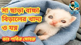 মা ছাড়া বিড়ালের বাচ্চার খাদ্য ও যত্ন  Orphan Kitten Care [upl. by Atims]