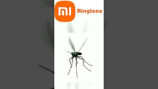 Mosquito  Phone Ringtone 2 [upl. by Kalmick]