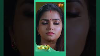 Nandini shorts ytshorts SunbanglaSerial trending [upl. by Reinhard37]