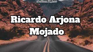 Ricardo Arjona  Mojado Letra [upl. by Araf]