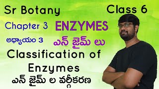 Classification of Enzymes  Sr Botany  Class 6 [upl. by Rigdon]