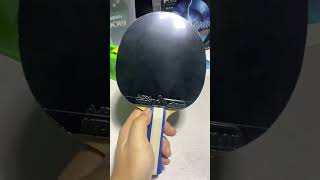 Donic Bluestorm Z1 Turbo Table Tennis Racket Set Up [upl. by Peltier]