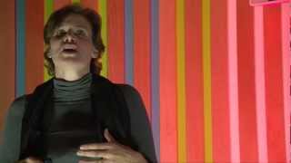 TEDxSussexUniversity  Mariana Mazzucato  The Entrepreneurial State [upl. by Ahtamat]