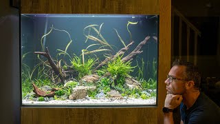 BEST TALL AQUASCAPE TUTORIAL  INSTANT IMPACT [upl. by Salema580]