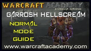 Garrosh Hellscream Normal Guide  Siege of Orgrimmar  Warcraft Academy [upl. by Halliday]