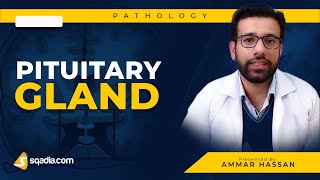 Pituitary Gland  1 Hypopituitarism  Medical Pathology  Video Lecture  VLearning [upl. by Reddin]