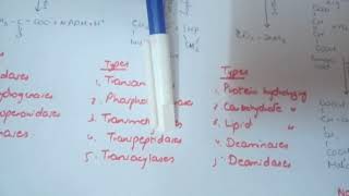 learn whole ENZYME CLASSIFICATION injust 5 minutes [upl. by Mat685]