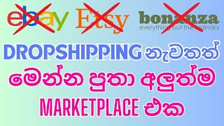 New Dropshipping Sinhala  New Selling Platforms  Ebay Etsy Alternatives  Earn Money Online [upl. by Suruat]