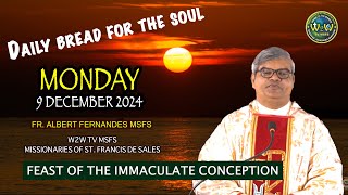 HOMILY  IMMACULATE CONCEPTION OF OUR LADY by Fr Albert MSFS  9 DECEMBER 2024 homily sermons [upl. by Jecoa]