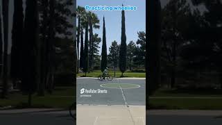 Practicing wheelies bikelife mtb wheelie [upl. by Eerrahs428]