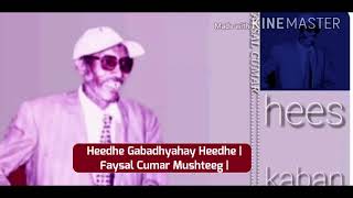 Heedhe Gabadhyahay Heedhe Faysal Cumar Mushteeg [upl. by Hayyim]