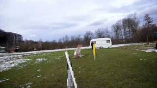 Dogtrophy Ballwurfmaschine im Agility [upl. by Kamilah]