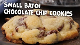 Quick amp Easy Small Batch Chocolate Chip Cookies  Ready in No Time [upl. by Natividad]