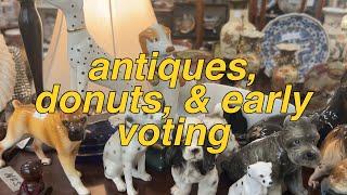 voting donuts antiques amp how much i earned  video diaries [upl. by Iblok903]