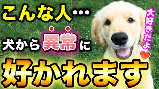 【犬好きな人ほど嫌われる】犬に異常に好かれる人の特徴7選！ [upl. by Ladnyc71]