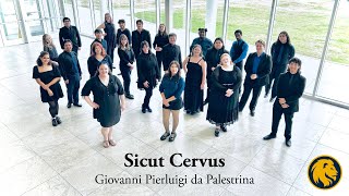 Sicut Cervus  Giovanni Pierluigi da Palestrina [upl. by Koerlin670]