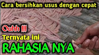 CARA MEMBERSIHKAN USUS AYAM DENGAN CEPAT koinkuno [upl. by Ponton]