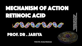 RETINOIC ACID MECHANISM OF ACTION [upl. by Loris242]