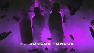 DBlock Europe  Poisonous Tongue Visualiser [upl. by Pauiie]