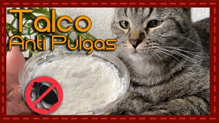 Adiós a las pulgas Talco para baño en seco casero y económico para gatos [upl. by Naoh]