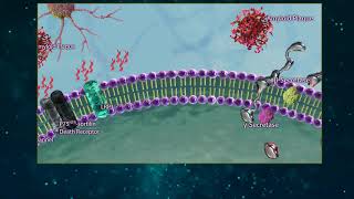 Amyloid Beta Processing [upl. by Lavud]