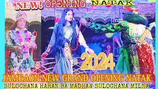 JAMGAON NEW GREND OPENING NATAK FIRST ENTRY DHAMAL SCENE 2024 jamgaon opening natak danskalakaar [upl. by Tadeo]