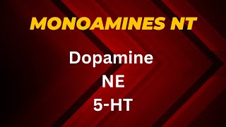 Monoamines neurotransmitters DopamineNorepinephrineSerotonin [upl. by Ziegler623]