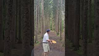 Disc Golf Highlights Unforgettable Shots from the Season 🥏✨ Shorts [upl. by Nauqas]