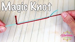 The Magic Knot  Securely Join Your Yarn Beginner Crochet Tips [upl. by Liagabba788]