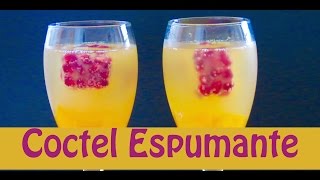 Como Preparar una Mimosa  Coctel Mimosa  The Frugal Chef [upl. by Eceerehs]