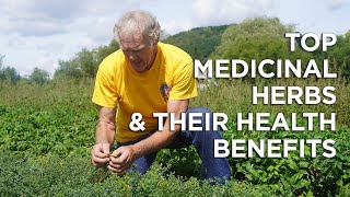 Top Medicinal Herbs Medicinal Uses and Health Benefits [upl. by Yziar882]