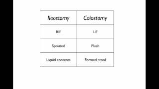 Stomas What they are and how to tell them apart [upl. by Elatia]