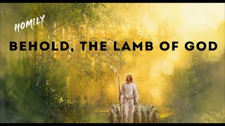 Homily for 2nd Sunday in Ordinary Time Year B  January 14 2024   John 13542  Lamb of God [upl. by Ynffit]