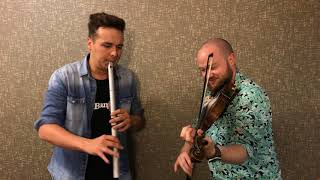 Fergal Scahills fiddle tune a day 2017  Day 218  Sporting Paddy [upl. by Akeber]