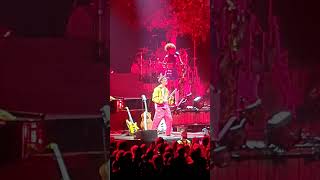 Jacob Collier Song Wellll Live Concert in Lisbon 2024 [upl. by Worlock468]