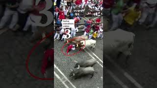 San Fermín 2024 mejores momentos del séptimo encierro [upl. by Inesita731]