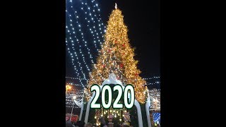 Новогодняя елка в Киеве 2020KIEV Ukraine Christmas tree 2020 [upl. by Yentihw]