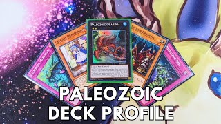 Competitive Paleozoic deck profile May 2024 TCG Yugioh [upl. by Nemrac]