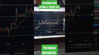 Paradeep phosphate ltd l fundamentaly strong fertilizer stock l agriculture stock l google finance [upl. by Zabrine590]