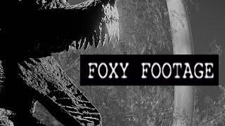 fnaf  FOXY FOOTAGE [upl. by Takakura]