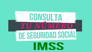 CONSULTA TU NUMERO DE SEGURIDAD SOCIAL [upl. by Vanny]