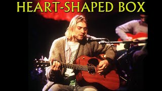 Nirvana  HeartShaped Box MTV Unplugged [upl. by Zeuqcaj]