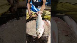 Amazing Mrigal Fish Cutting Skills live In BD Fish Marketshorts short [upl. by Sidalg]