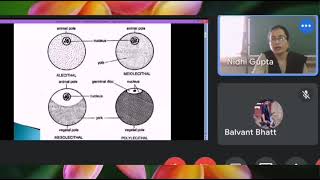 Type of Egg  Structure of Ovum and Sperm  NDVSU  1st Year ANATOMY Lecture [upl. by Aynotel]