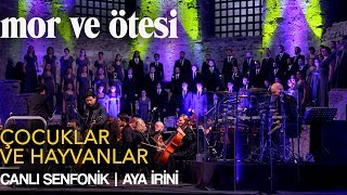 mor ve ötesi  Çocuklar ve Hayvanlar Canlı Senfonik  Aya İrini  Official Video [upl. by Savdeep]