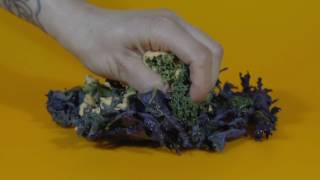 KALE CHIPS  CIBO SUPERSONICO [upl. by Anaicilef]