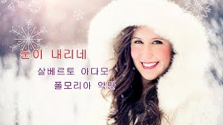 눈이 내리네 Tombe La Neige  살바토레 아다모 Salvatore Adamo   폴모리아 악단 Paul Mauriat [upl. by Ynnad]