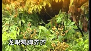 Teochew Swatow MTV 10mp4 [upl. by Sandeep]